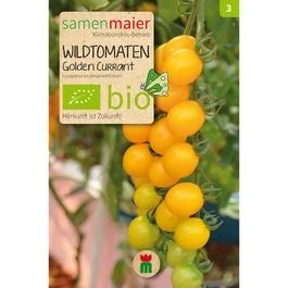 austriansupermarket20261021100237248860